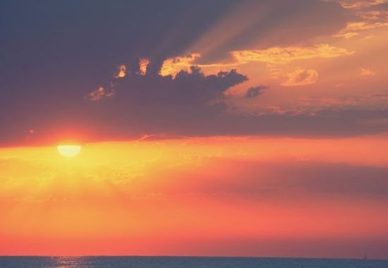 Osłona przed słońcem w ogrodzie — dlaczego to ważne?